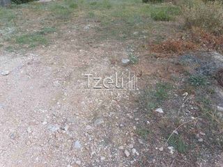 Οικόπεδο 2.500 τ.μ. για ενοικίαση, Αχαΐα, Αίγιο-thumb-1