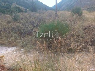 Οικόπεδο 5.000 τ.μ. για ενοικίαση, Αχαΐα, Αίγιο-thumb-7