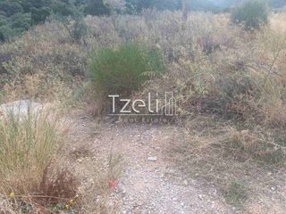 Οικόπεδο 5.000 τ.μ. για ενοικίαση, Αχαΐα, Αίγιο-thumb-4