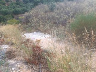 Οικόπεδο 5.000 τ.μ. για ενοικίαση, Αχαΐα, Αίγιο-thumb-6