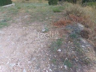 Οικόπεδο 5.000 τ.μ. για ενοικίαση, Αχαΐα, Αίγιο-thumb-5
