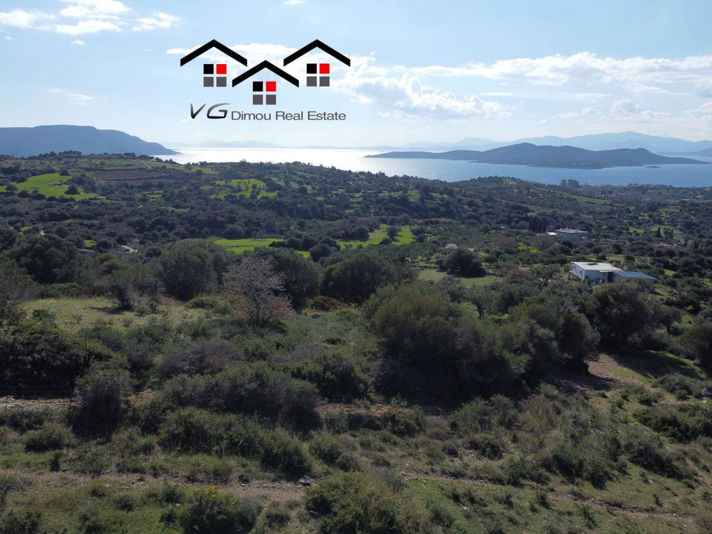 Αγροτεμάχια 7.400 τ.μ. προς πώληση, Νέα Στύρα