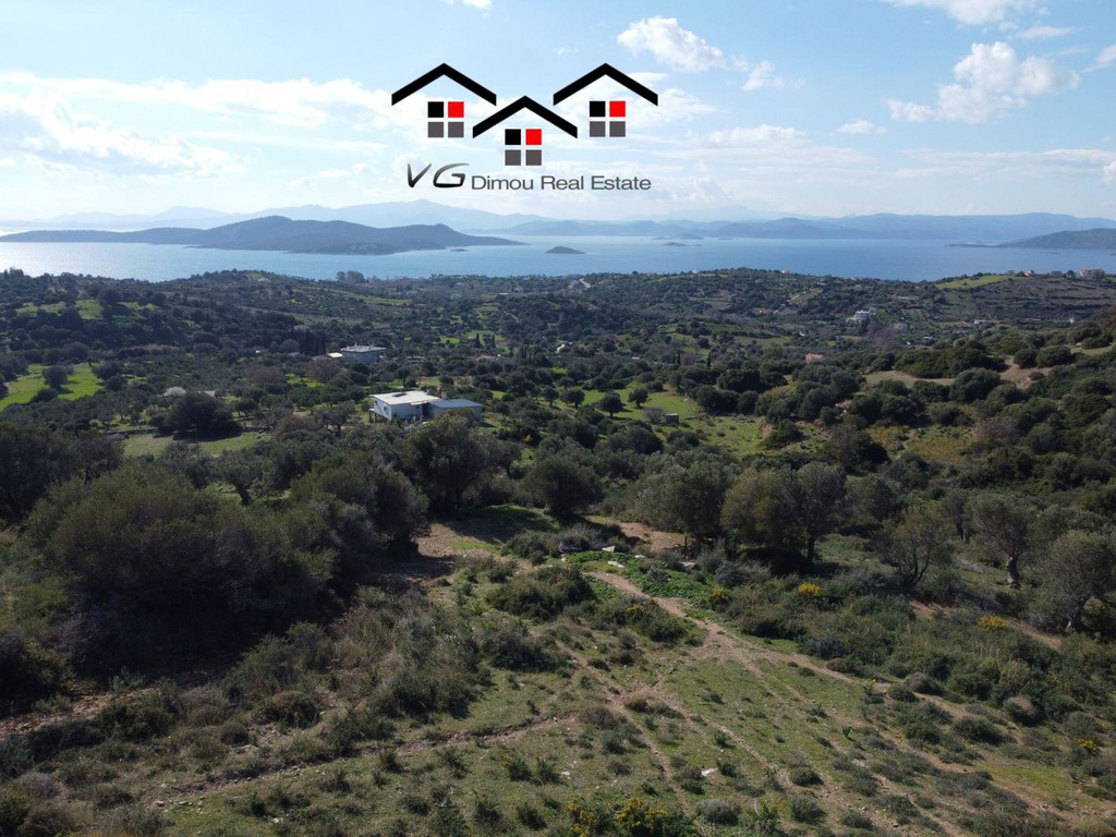 Αγροτεμάχια 7.400 τ.μ. προς πώληση, Νέα Στύρα