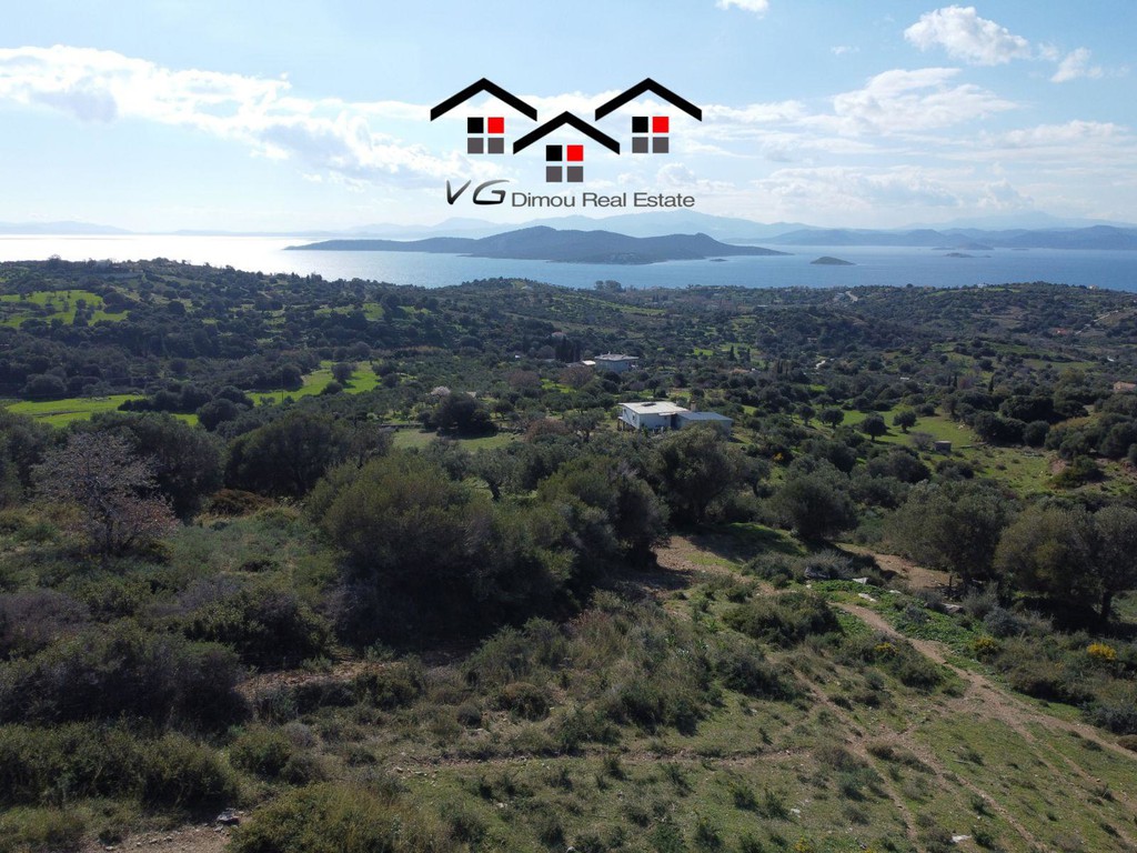 Αγροτεμάχια 7.400 τ.μ. προς πώληση, Νέα Στύρα