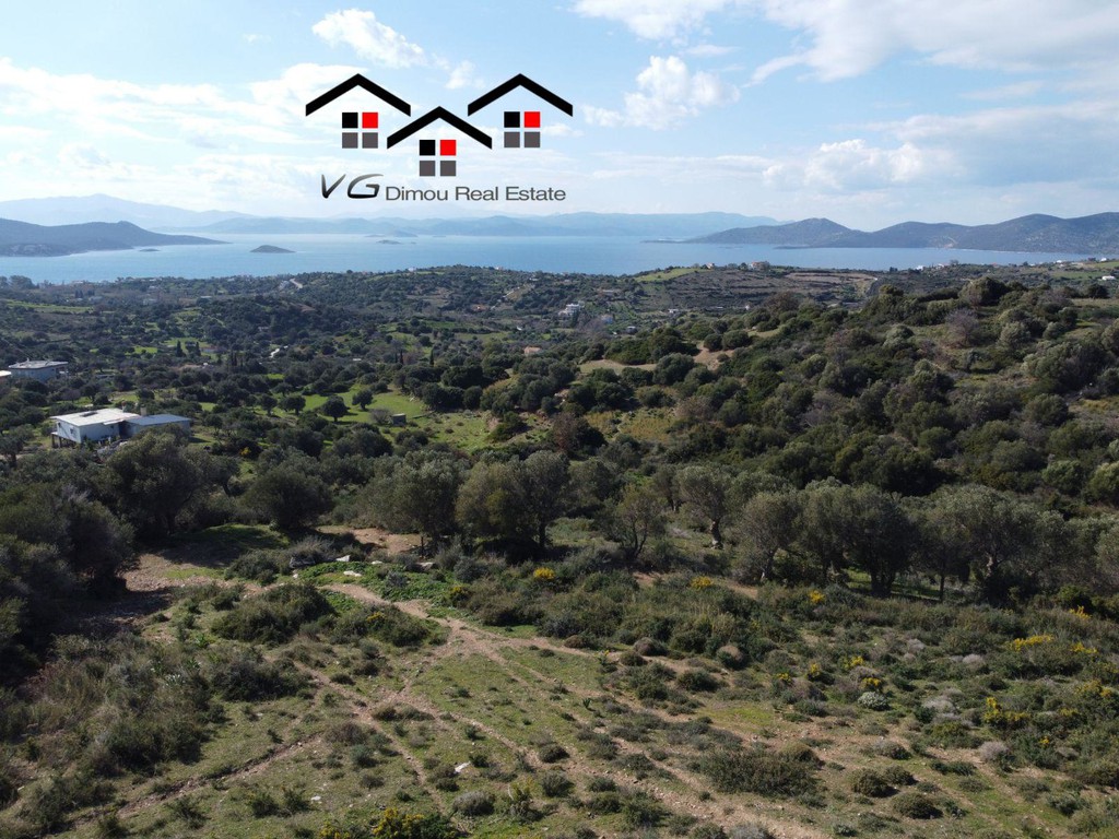 Αγροτεμάχια 7.400 τ.μ. προς πώληση, Νέα Στύρα