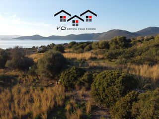 Αγροτεμάχια 7.180 τ.μ. για πώληση, Εύβοια, Στύρα-thumb-5