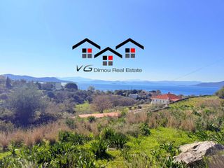 Αγροτεμάχια 7.180 τ.μ. για πώληση, Εύβοια, Στύρα-thumb-22