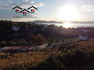 Αγροτεμάχια 7.180 τ.μ. για πώληση, Εύβοια, Στύρα-thumb-11