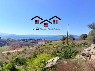Αγροτεμάχια 7.180 τ.μ. για πώληση, Εύβοια, Στύρα-thumb-16