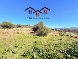 Αγροτεμάχια 7.180 τ.μ. για πώληση, Εύβοια, Στύρα-thumb-15