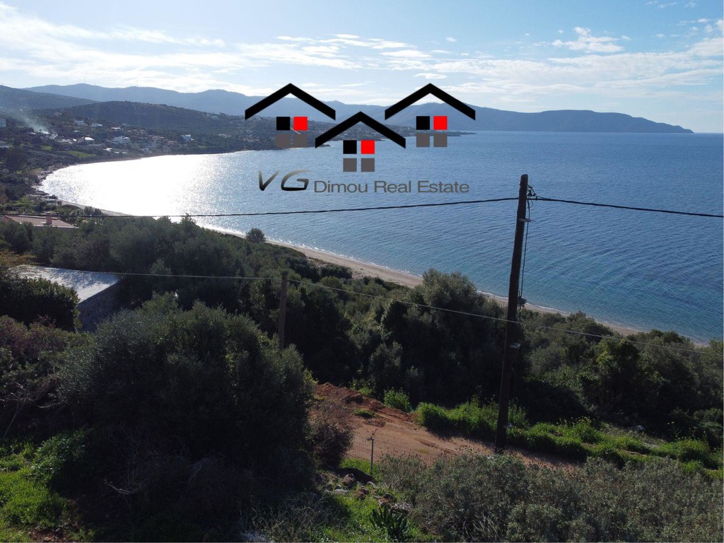 Αγροτεμάχια 4.090 τ.μ. προς πώληση, Δήλησο