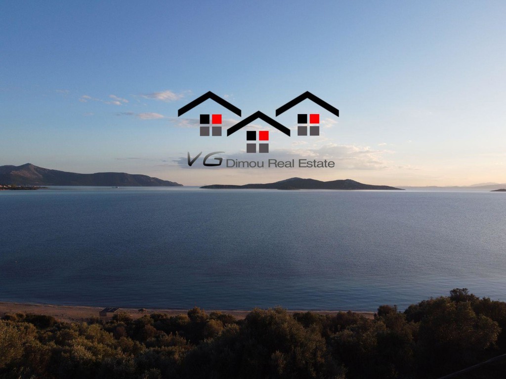 Αγροτεμάχια 4.090 τ.μ. προς πώληση, Δήλησο