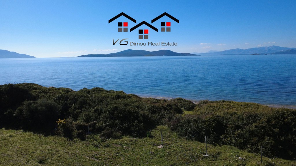 Αγροτεμάχια 5.100 τ.μ. προς πώληση, Δήλησο
