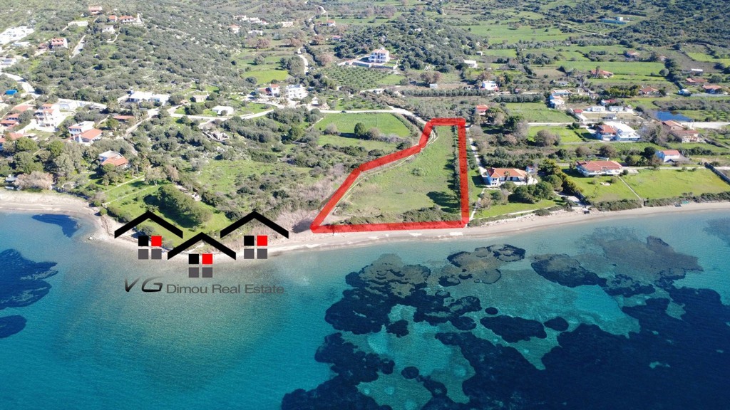 Αγροτεμάχια 5.100 τ.μ. προς πώληση, Δήλησο