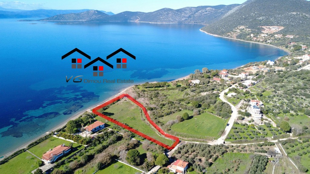 Αγροτεμάχια 5.100 τ.μ. προς πώληση, Δήλησο