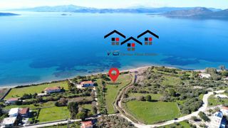 Αγροτεμάχια 5.100 τ.μ. για πώληση, Εύβοια, Στύρα-thumb-10