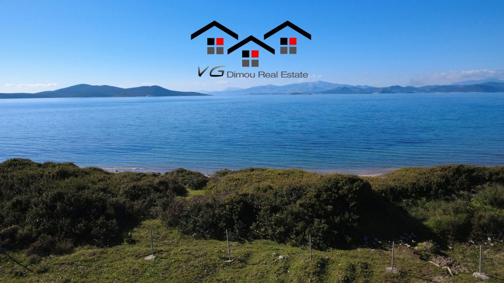 Αγροτεμάχια 5.100 τ.μ. προς πώληση, Δήλησο