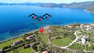 Αγροτεμάχια 5.100 τ.μ. για πώληση, Εύβοια, Στύρα-thumb-12