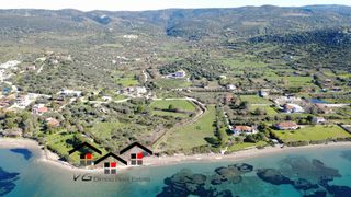 Αγροτεμάχια 5.100 τ.μ. για πώληση, Εύβοια, Στύρα-thumb-13