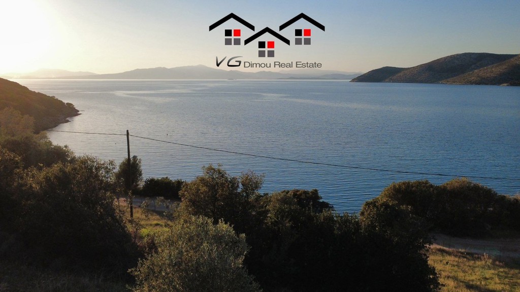 Αγροτεμάχια 8.500 τ.μ. προς πώληση, Νιμπορειό