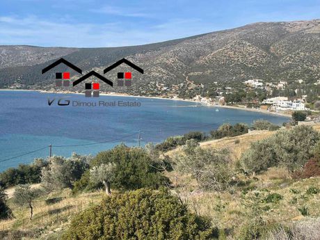 Αγροτεμάχια 8.500τ.μ. για πώληση-Στύρα