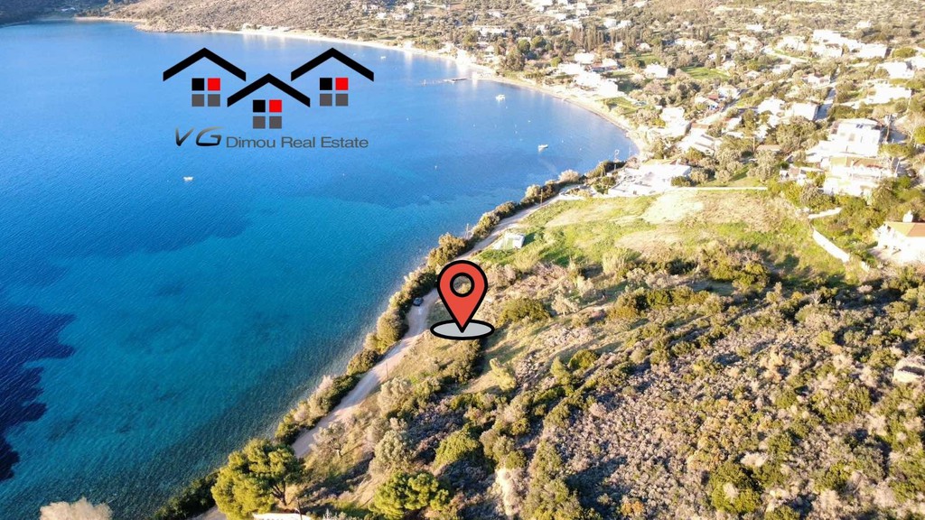 Αγροτεμάχια 8.500 τ.μ. προς πώληση, Νιμπορειό