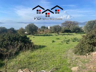 Αγροτεμάχια 6.314 τ.μ. για πώληση, Εύβοια, Στύρα-thumb-11