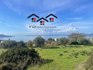 Αγροτεμάχια 6.314 τ.μ. για πώληση, Εύβοια, Στύρα-thumb-9