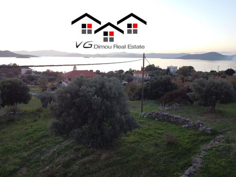 Αγροτεμάχια 6.314τ.μ. για πώληση-Στύρα