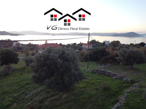 Αγροτεμάχια 6.314 τ.μ. για πώληση, Εύβοια, Στύρα