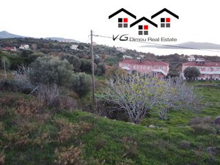 Αγροτεμάχια 6.314 τ.μ. για πώληση, Εύβοια, Στύρα-thumb-1