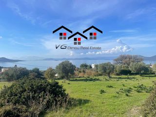 Αγροτεμάχια 6.314 τ.μ. για πώληση, Εύβοια, Στύρα-thumb-17
