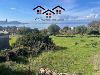 Αγροτεμάχια 6.314 τ.μ. για πώληση, Εύβοια, Στύρα-thumb-13