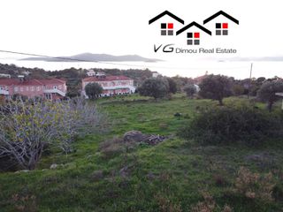 Αγροτεμάχια 6.314 τ.μ. για πώληση, Εύβοια, Στύρα-thumb-3