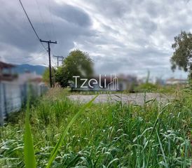 Οικόπεδο 7.360 τ.μ. για ενοικίαση, Αχαΐα, Παραλία-thumb-3