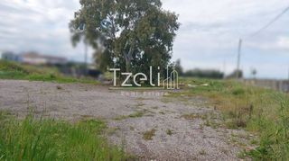 Οικόπεδο 7.360 τ.μ. για ενοικίαση, Αχαΐα, Παραλία-thumb-9