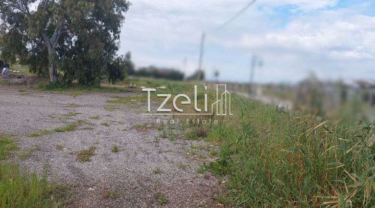 Οικόπεδο 7.360 τ.μ. για ενοικίαση, Αχαΐα, Παραλία
