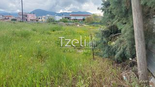 Οικόπεδο 7.360 τ.μ. για ενοικίαση, Αχαΐα, Παραλία-thumb-10