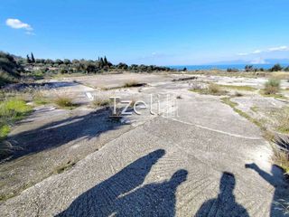 Οικόπεδο 4.000 τ.μ. για ενοικίαση, Αχαΐα, Μεσσατίδα-thumb-5