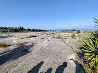 Οικόπεδο 4.000 τ.μ. για ενοικίαση, Αχαΐα, Μεσσατίδα-thumb-13