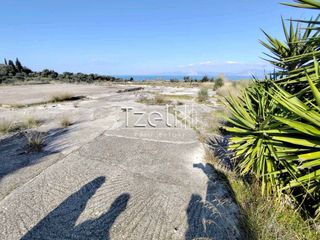 Οικόπεδο 4.000 τ.μ. για ενοικίαση, Αχαΐα, Μεσσατίδα-thumb-2