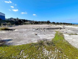 Οικόπεδο 4.000 τ.μ. για ενοικίαση, Αχαΐα, Μεσσατίδα-thumb-15