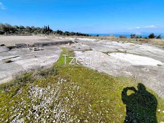 Οικόπεδο 4.000 τ.μ. για ενοικίαση, Αχαΐα, Μεσσατίδα-thumb-7