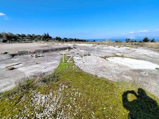 Οικόπεδο 4.000 τ.μ. για ενοικίαση, Αχαΐα, Μεσσατίδα-thumb-16