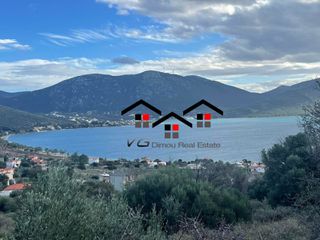 Οικόπεδο 2.005 τ.μ. προς πώληση, Άγιος Δημήτριος Δύστου-thumb-14