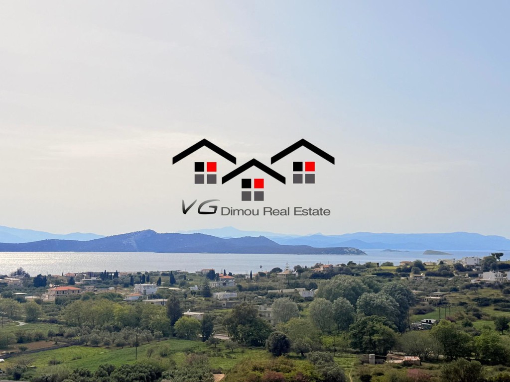 Αγροτεμάχια 8.000 τ.μ. προς πώληση, Νέα Στύρα