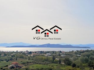 Αγροτεμάχια 8.000 τ.μ. για πώληση