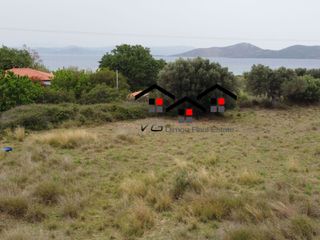 Αγροτεμάχια 5.610 τ.μ. για πώληση, Εύβοια, Στύρα-thumb-3