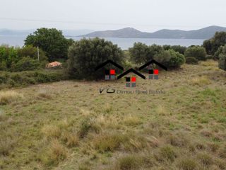Αγροτεμάχια 5.610 τ.μ. για πώληση