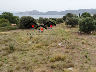 Αγροτεμάχια 5.610 τ.μ. για πώληση, Εύβοια, Στύρα-thumb-1